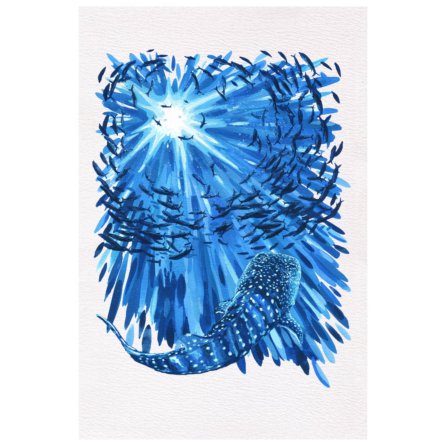 Ocean Inspired Prints